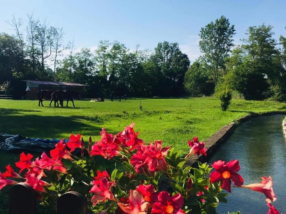 Agriturismo Helianthus Villa Oleggio Exterior photo